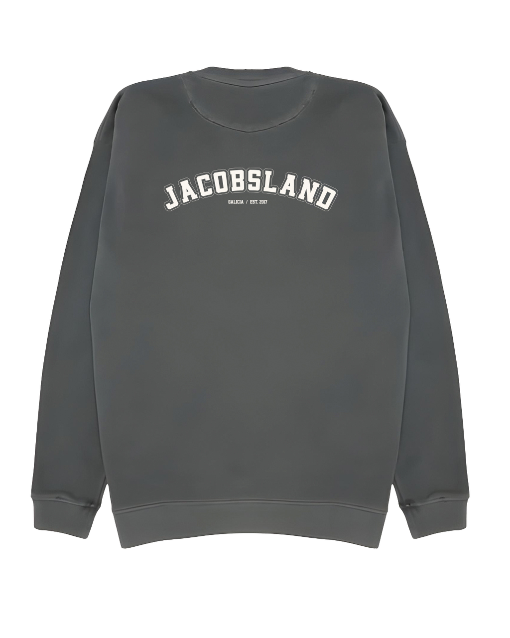 SUDADERA SIN CAPUCHA UNIVERSITY (GRIS)