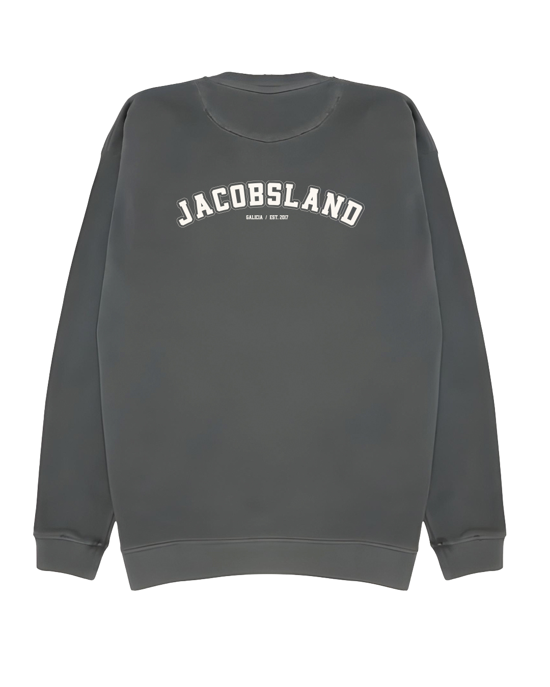 SUDADERA SIN CAPUCHA UNIVERSITY (GRIS)