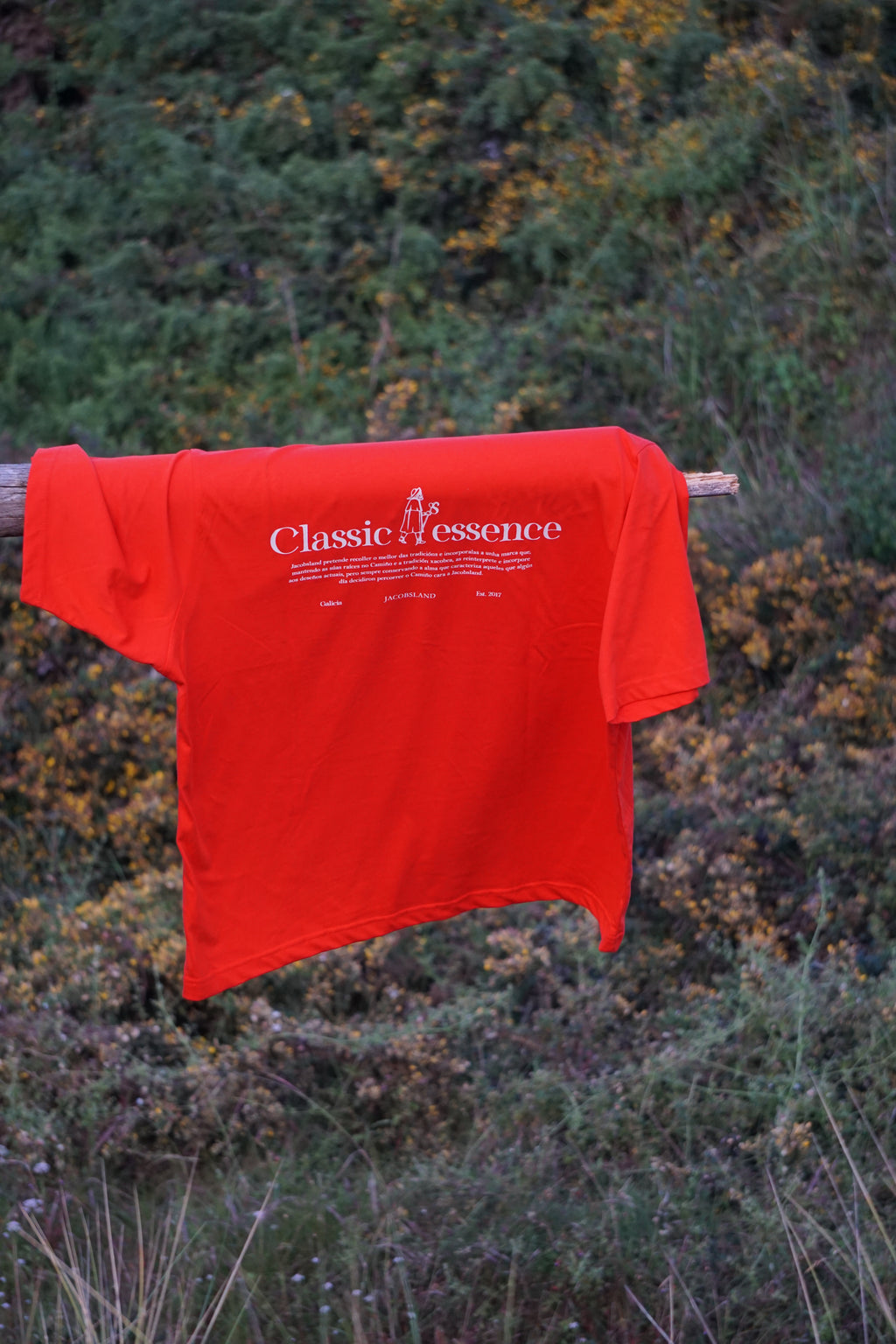 CAMISETA CLASSIC ESSENCE