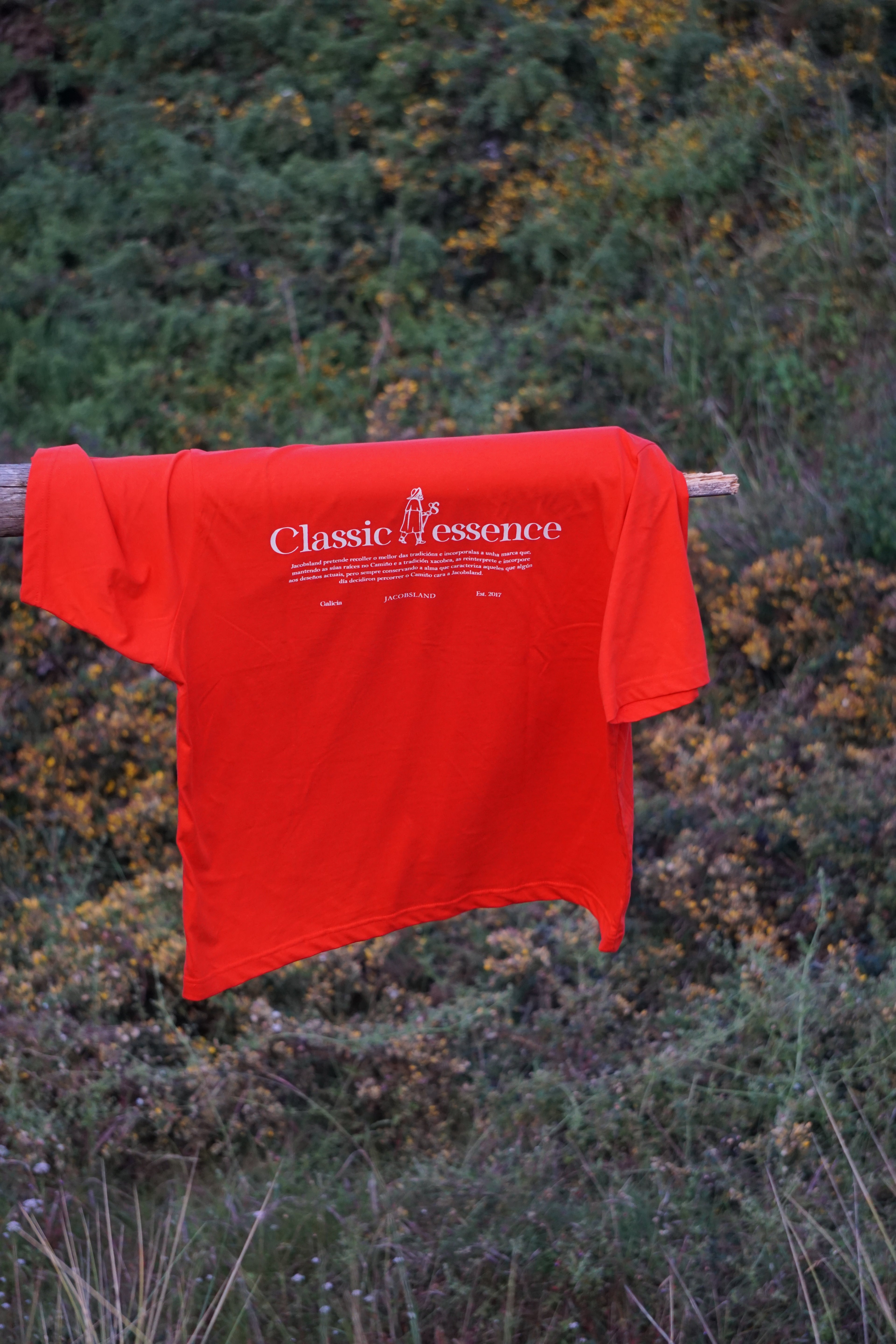CAMISETA CLASSIC ESSENCE