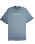 CAMISETA PURPOSE GRIS